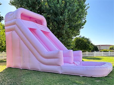 Girl Party Pink Water Slide Inflatable Princess Water Slide